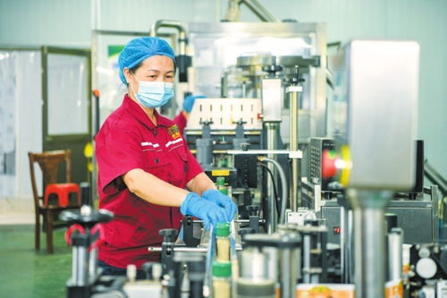 海口大坡胡椒俏銷國內(nèi)外市場(chǎng)在線打包忙